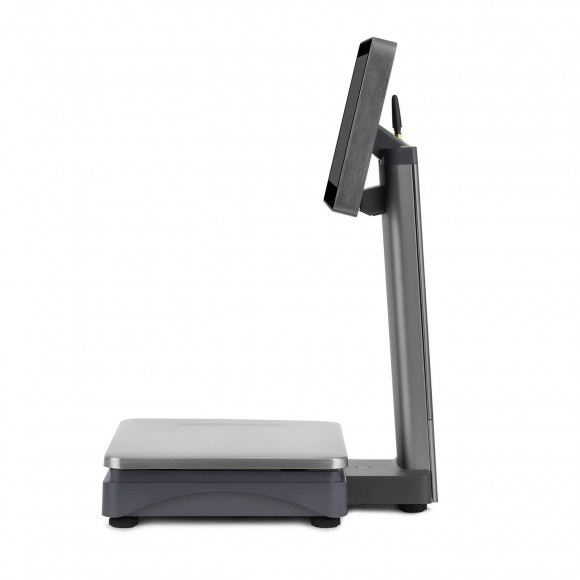 Весы с распознаванием товаров M-ER 828 PM-15.2 (VISION-AI, 12", USB, Ethernet, Wi-Fi) Весы с распознаванием товаров M-ER 828 PM-15.2 (VISION-AI, 12", USB, Ethernet, Wi-Fi)