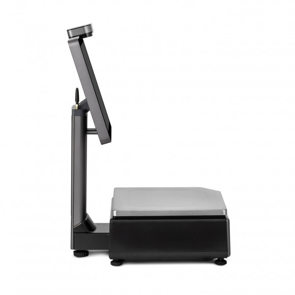 Весы с печатью этикеток M-ER 727 PM-32.5 (VISION-AI 15", USB, Ethernet, Wi-Fi)
